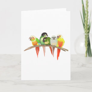 Tarjeta Mejilla verde Conures