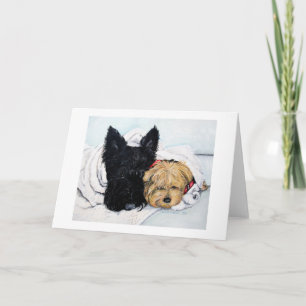 Tarjeta Mejor amigo de Scottish Terrier y Yorkie