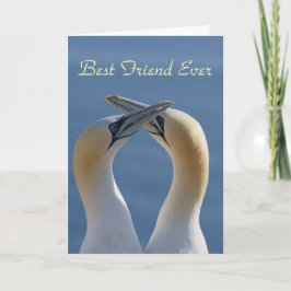 Tarjeta Mejor Amigo siempre Bestie Photo