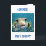 TARJETA MEJOR CAPTURA DEL DÍA **CUMPLEAÑOS DE GRANDSON**<br><div class="desc">ESTE PESCADO DE PUFER ESTÁ TAN LISTO PARA DECIRLE **TU GRANDSON** QUE ES AMADO EN SU *CUMPLEAÑOS* Y ¡ESPERA QUE PUEDA DISFRUTAR Y RELAJARSE EN SU DÍA ESPECIAL!</div>