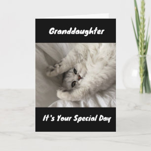 TARJETA MEJOR CUMPLEAÑOS DE LA HISTORIA A ***GRANDDAUGHTER