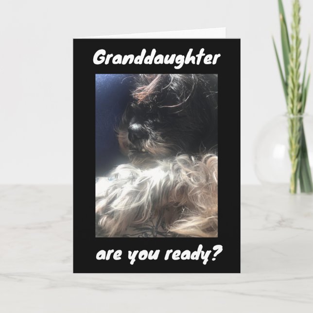 TARJETA MEJOR CUMPLEAÑOS DE LA HISTORIA A ***GRANDDAUGHTER (Anverso)