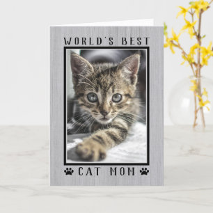 Tarjeta Mejor Fruto De Cumpleaños Feliz De Mamá Gato Del M