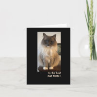 Mejor Madre Gata para el Día de la Madre