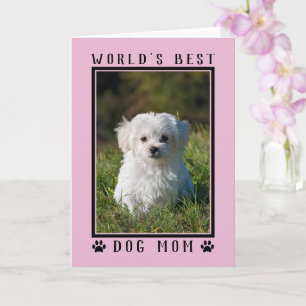 Tarjeta Mejor Mamá de Perro del Mundo Foto Rosa Día de la 