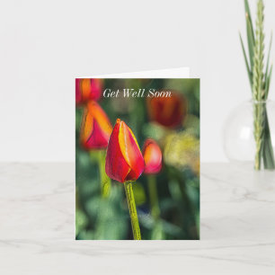 Tarjeta Mejore Pronto Textured Tulip Garden
