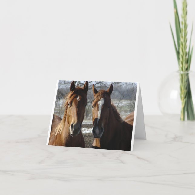 Tarjeta Mejores amigos (Anverso)