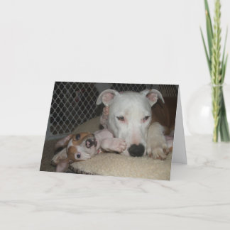 Tarjeta Mejores amigos…