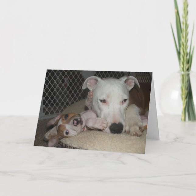 Tarjeta Mejores amigos… (Anverso)