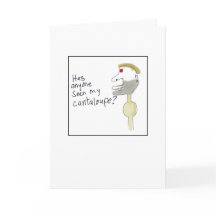 Melón Cantalupo Ilustrado Perdido