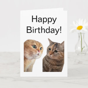 Tarjeta Meme de cartas dobladas hablando de gatos