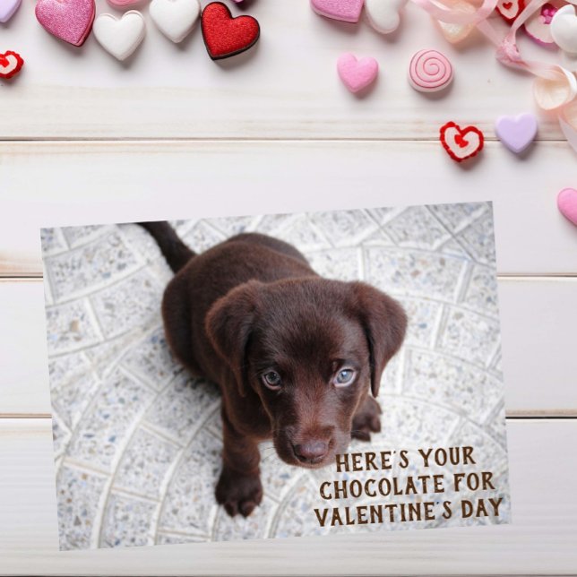 Tarjeta meme de El día de San Valentín de cachorro (Subido por el creador)