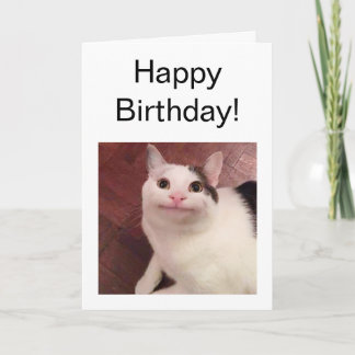 Tarjeta Meme de gato con letras y letras dobladas