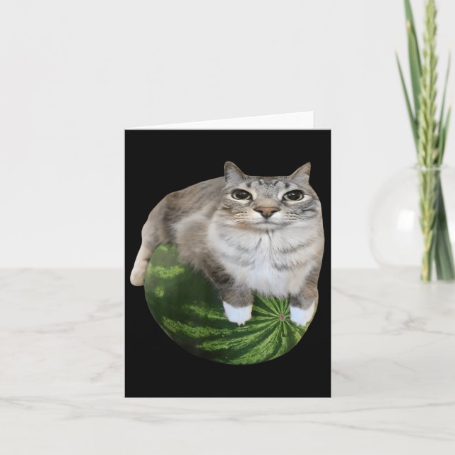 Tarjeta Meme de gato tonto de la sandía (Anverso)