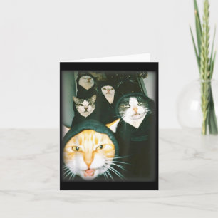 Tarjeta Meme de la pandilla de gatos Divertidos Gatos Caót