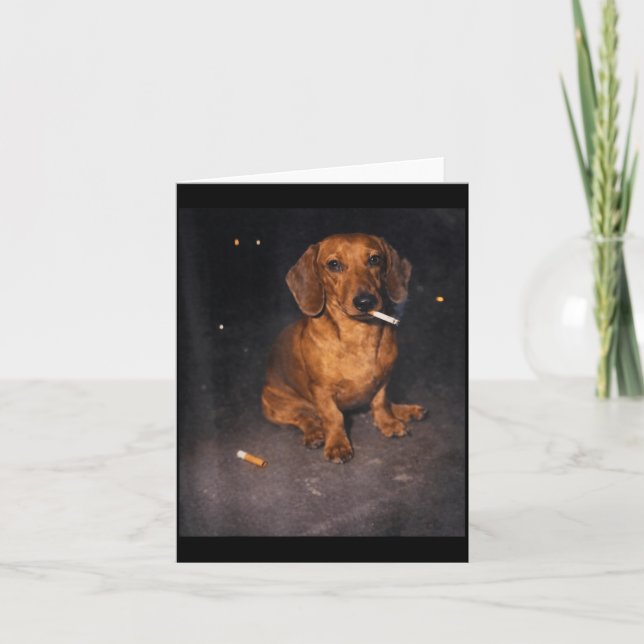 Tarjeta Meme divertido de dachshund fumando cigarrillo per (Anverso)
