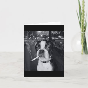 Tarjeta Meme Divertido de Perro Fumando Cigarrillo Meme de