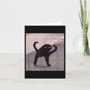 Tarjeta Memes de gato maldito Gato maldito enojado como bu