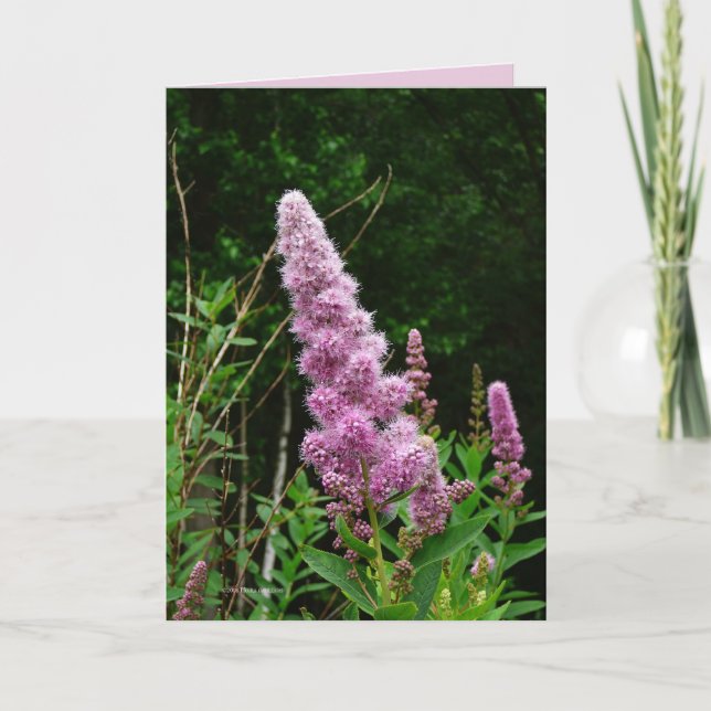 Tarjeta Memoria de verano tardía (Anverso)