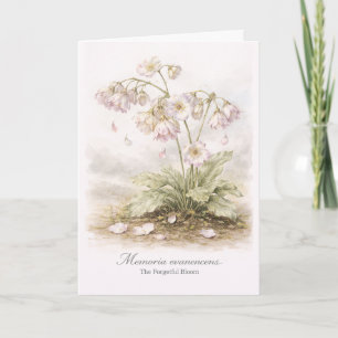 Tarjeta Memoria Evanescens – La Floración Olvidadiza Botán