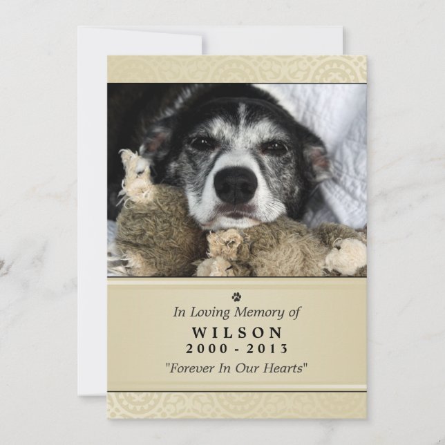 Tarjeta Memorial mascota 5"x7" Crema moderna - Mas (Anverso)