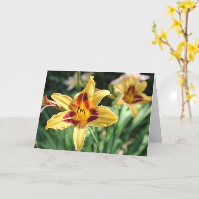 Tarjeta Mensaje personal de Golden Daylily Blank (flor amarilla)