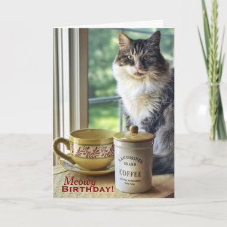 Tarjeta Meowvelous You Birthday Card