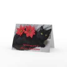 Meowy Navidades Black Cat Poinsettias Red Photo