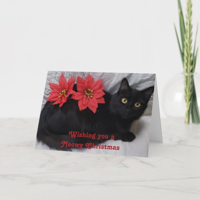 Tarjeta Meowy Navidades Black Cat Poinsettias Red Photo (Anverso)