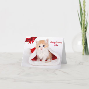 Tarjeta Meowy Navidades te adoran gato en Santa Hat