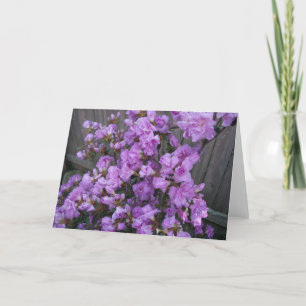 Tarjeta Mercancía de Azaleas Purpúreas
