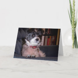 Tarjeta Merry Anna el Perro Papijack