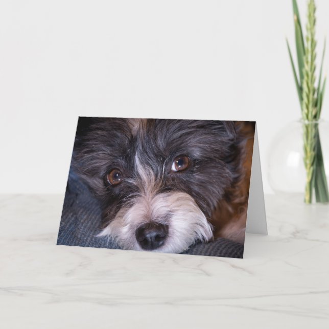 Tarjeta Merry Anna el Perro Papijack (Anverso)