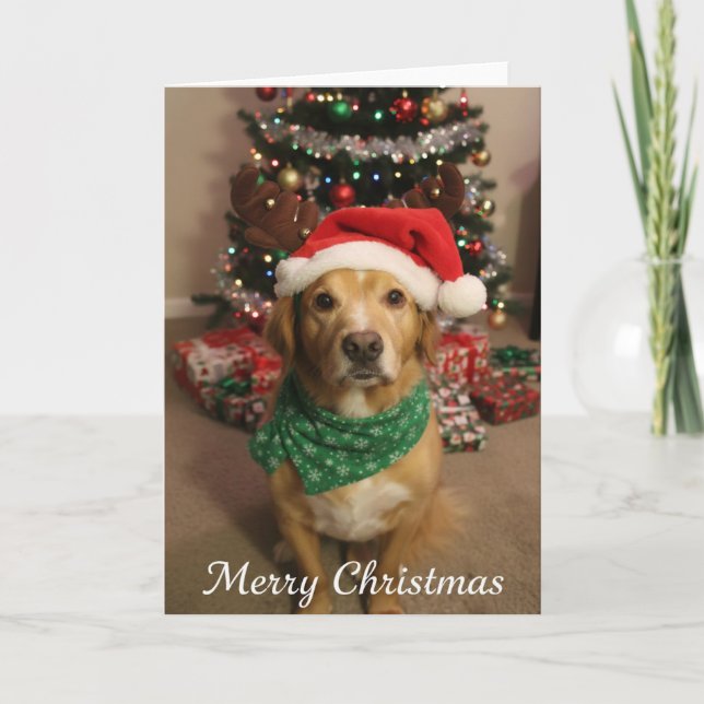 Tarjeta Merry Christmas Dog (Anverso)