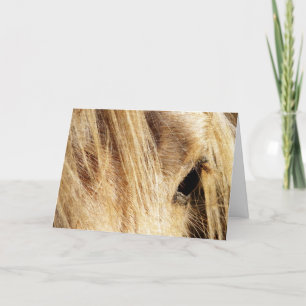 Tarjeta Messy Mane, el fiscal del padre