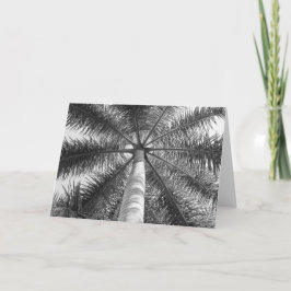 Tarjeta Mexico Palm Tree Shade