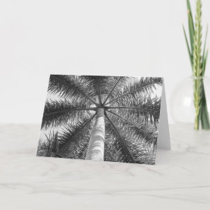 Tarjeta Mexico Palm Tree Shade