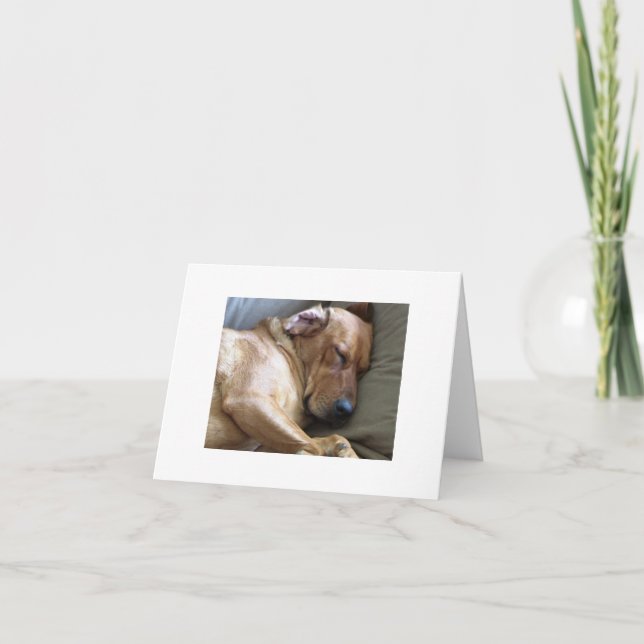 Tarjeta Mezcla del perro de Rhodesian Ridgeback Labrador (Anverso)