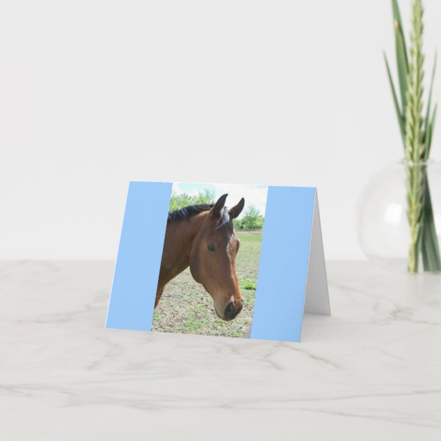 Tarjeta Mi amigo, el caballo (Anverso)