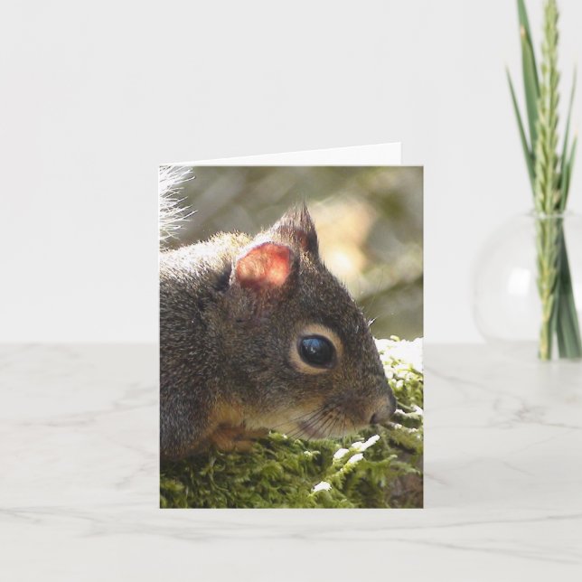 Tarjeta Mi amigo está mareado (Anverso)