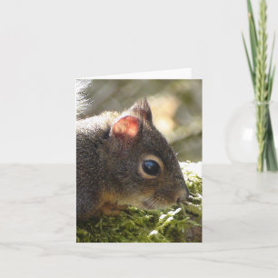 Tarjeta Mi amigo está mareado