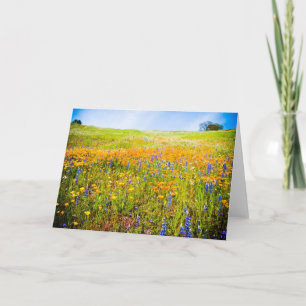 Tarjeta Mi California 1