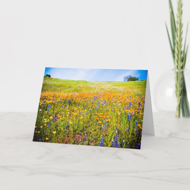 Tarjeta Mi California 1 (Anverso)