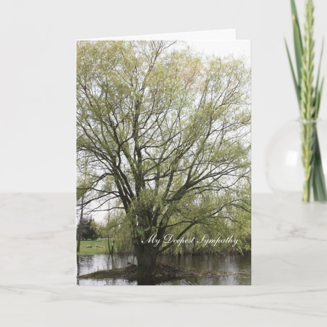 Tarjeta Mi condolencia más profunda (Anverso)