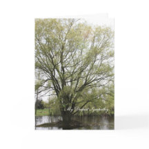 Mi condolencia más profunda