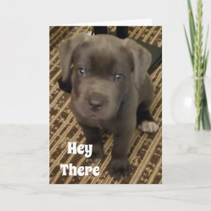 TARJETA MI DESEO ES UN "BESO" DE TI EN TU *CUMPLEAÑOS*