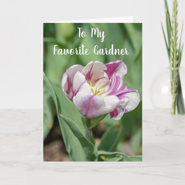TARJETA **MI JARDINERO FAVORITO** EN SU CUMPLEAÑOS (Anverso)