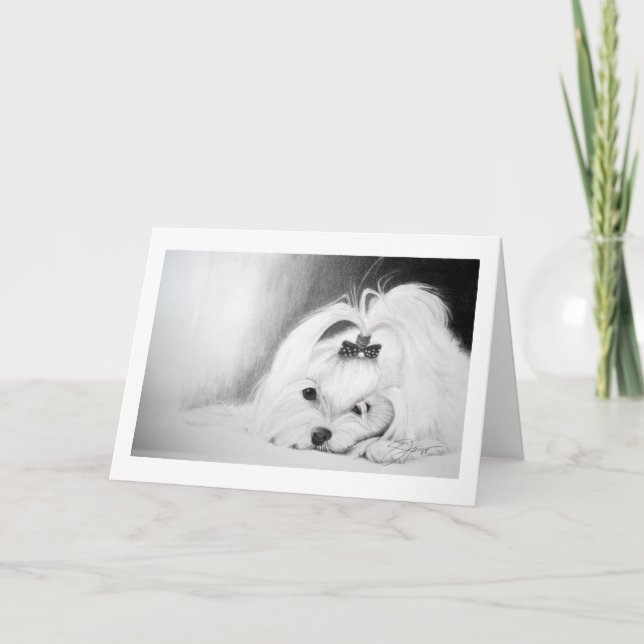 Tarjeta Mi maltés (Anverso)