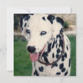 Tarjeta Mi Mascota amigo sube tu propio Personalizado de f