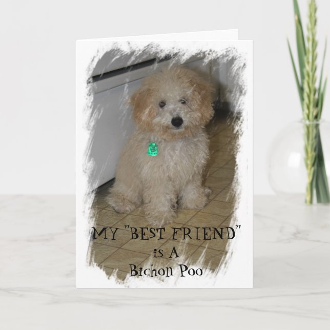 Tarjeta MI "MEJOR AMIGO" es un Bichon Poo (Anverso)